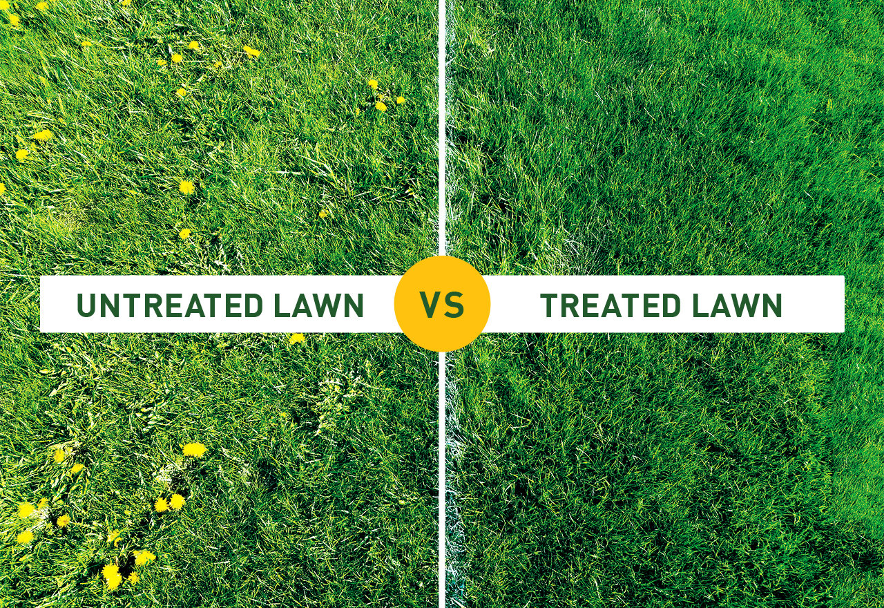 How to Kill Dandelions Without Chemicals